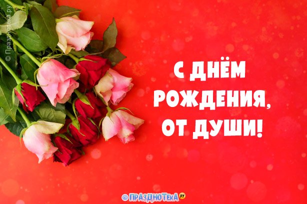 Ярко красная открытка с днём рождения и букетом роз