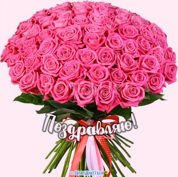 Открытка с большим букетом розовых роз и надписью "Поздравляю!"