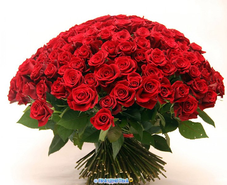 Красивая картинка с гигантским букетом роз на ДР