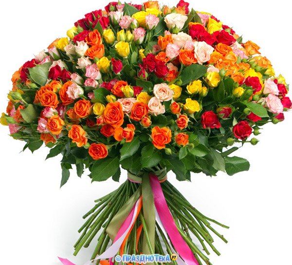 Шикарный букет ярких роз для поздравления с ДР на телефон