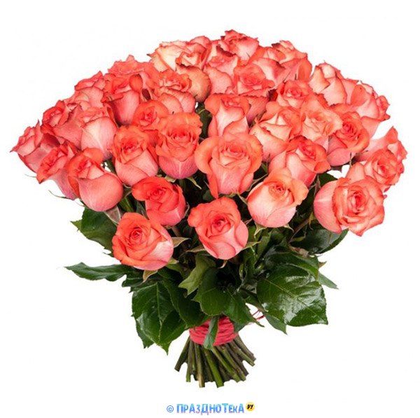 Открытки и картинки с Розами и красивыми букетами роз женщине на День Рождения!