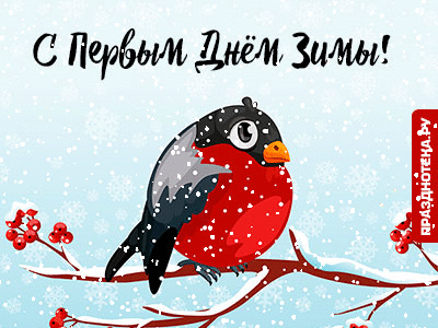 Гифка с анимацией со снегирём и снегопадом "С Первым днём зимы!"