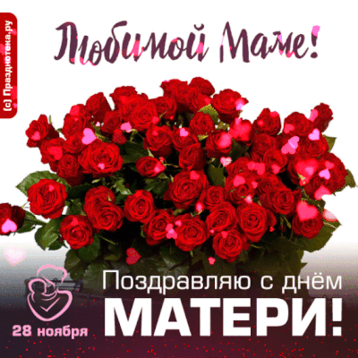 Гифка - огромный букет красных роз для любимой мамы на День Матери!