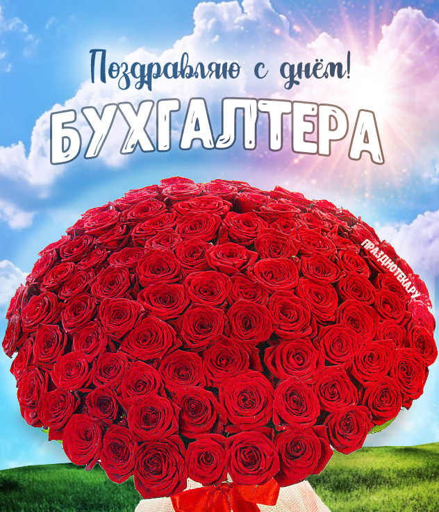 Красивая открытка с Днём Бухгалтера с шикарным букетом красных роз