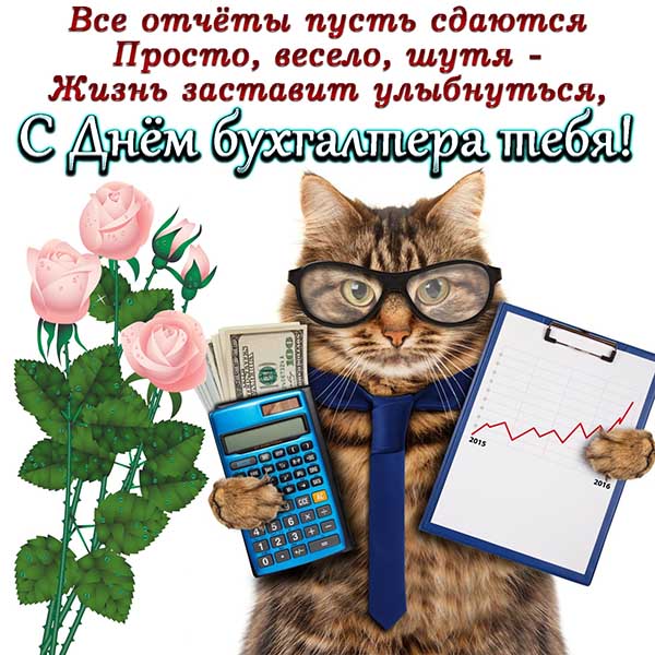 Юморная открытка с пожеланием для бухгалтера и смешным котом