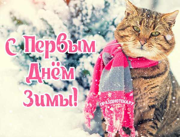 Картинка с котиком "с первым днём зимы"