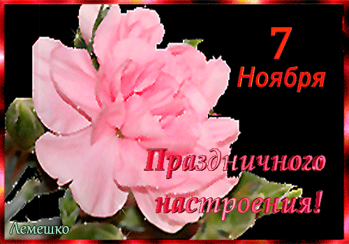 Гифка с цветком и надписью "7 ноября - Праздничного Настроения!"