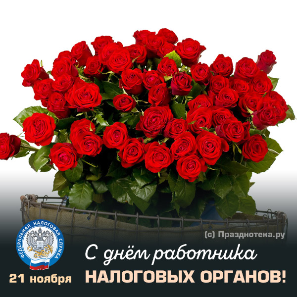 Авторская картинка от портала "Празднотека.ру" на день работника налоговых органов с надписью "Поздравляю с днём Налоговика!" с шикарными розами