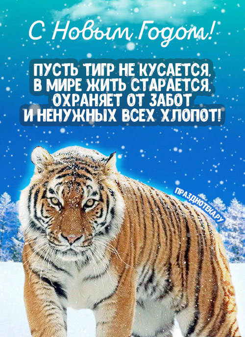 Открытка с красивым тигром и поздравлением в стихах с годом Тигра 2022