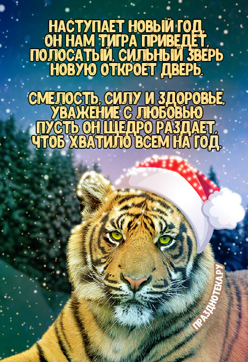 Вертикальная новогодняя открытка с символом 2022 года - крутым тигром в новогодней шапочке