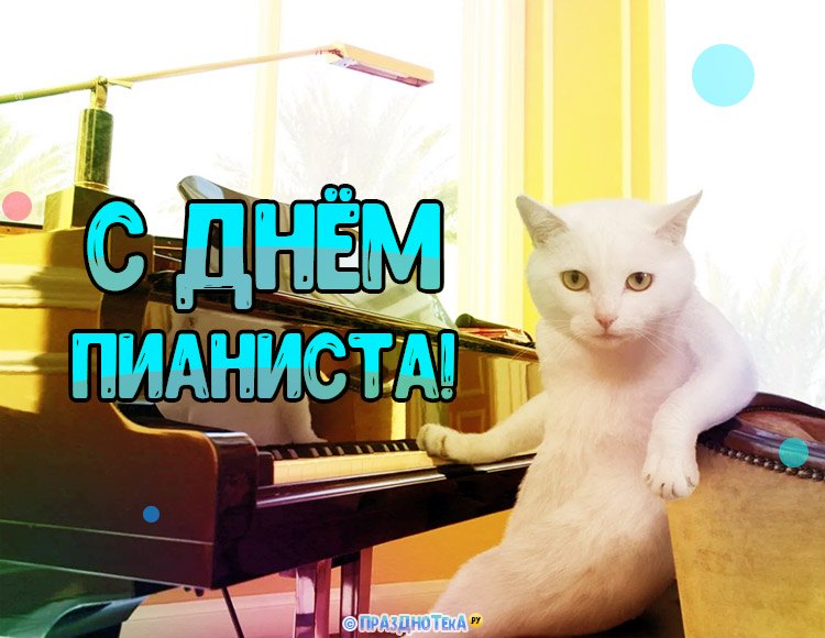 Юморная открытка с Днём Пианиста с котом